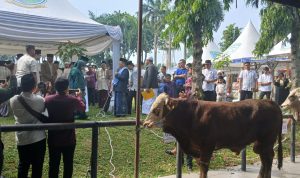 IMG-20260527-WA0027